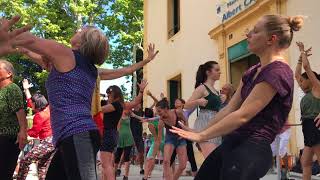 Montpellier Danse  une grande leçon de danse au Parc Tastavin [upl. by Friedrick]