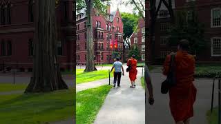 Harvard University Campus Walk Tour [upl. by Stafford]