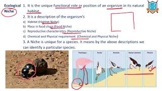 What is Ecological Niche   Ecological Niche అంటే ఏమిటి  La Excellence [upl. by Rebeka]