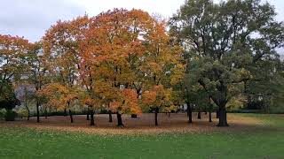 Stadtpark Schöneberg [upl. by Matrona888]