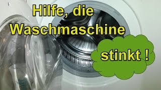 HILFE – Die Waschmaschine stinkt – Was tun wenn die Wäsche riecht   Hausmittel Tutorial Lifehack [upl. by Airdnala]