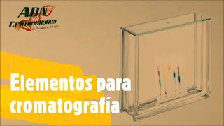 Elementos para cromatografía Ensayo en capa fina para análisis de tintas [upl. by Hayila644]