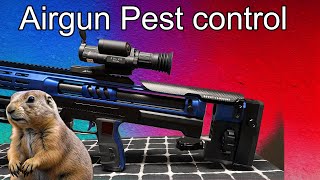 Prairie dog pest control with the Skout EVO in 25 [upl. by Oz]