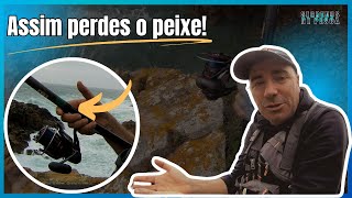 Assim perdes o peixe [upl. by Brinna]