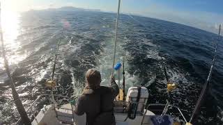 Bluefin Tuna strike at Stadt Norway [upl. by Eastman]