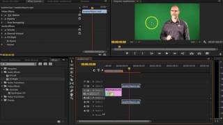 How to crop green screen in premiere pro [upl. by Grimes]