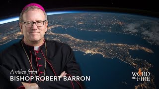 Bishop Barron on Creation [upl. by Jabez]