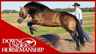 Clinton Anderson Obstacle Course Training at the Ranch Rally  Downunder Horsemanship [upl. by Maccarone]