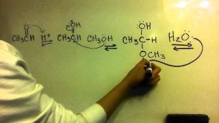 Acetal Formation from an Aldehyde  Mechanism [upl. by Pucida963]