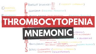 Causes of Thrombocytopenia Mnemonic  PLATELETS  What are the causes of thrombocytopenia [upl. by Fidele]