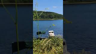 Vlasinsko jezero jul 2024 nature lake shorts relaxingmusic music relaxing travel [upl. by Llerad]