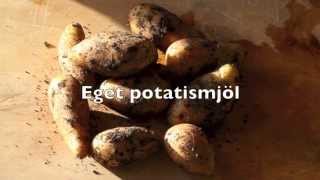 Potatismjöl gör eget potatismjöl av potatis du odlar [upl. by Kip]