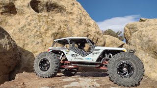 Axial Wraith Spawn 110mm Full droop Desert Lizard Shocks Setup [upl. by Naresh]