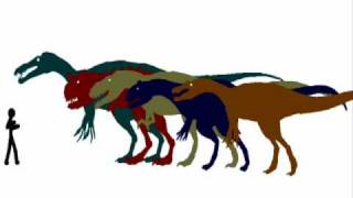 Carnivore Dinosaur Size Comparison Scale [upl. by Aralomo]