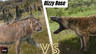 American Lion vs Hyaenodon Gigas 2024 [upl. by Erehs]