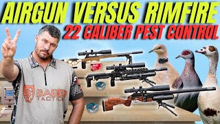 AIRGUN HUNTING VERSUS RIMFIRE HUNTING I 22 CALIBER PEST CONTROL WITH AIRGUN AND RIMFIRE [upl. by Janaye]