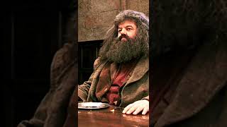 Robbie Coltrane actor que le dió vida a Rubeus Hagrid en la saga de Harry Potter [upl. by Odnam908]