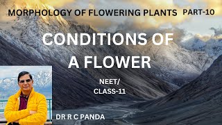 FLOWER2  CONDITIONS OF A FLOWER  MORPHOLOGY OF FLOWERING PLANTS  NEET  CLASS11  DR R C PANDA [upl. by Bel776]