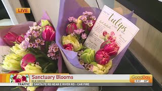 Sanctuary Blooms  Elk Grove [upl. by Yoho]