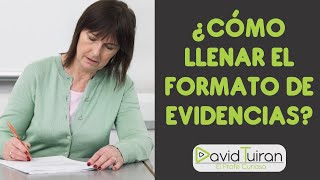 ¿Cómo llenar el Formato de competencias contribuciones criterios y evidencias del PP [upl. by Sigfrid]