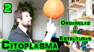 Organelas Citoplasmáticas Parte 2  Citoplasma [upl. by Con]