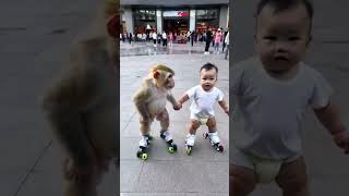 The little monkey had so much fun with the baby skatingrink cute baby little monkey cute pet deb [upl. by Aidahs]