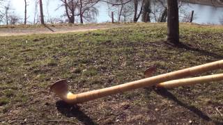 2 Alphorn Players at the Chatzensee in Switzerland [upl. by Yesnel493]