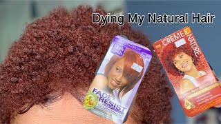 Dying My Hair Red  Creme of Nature 76 and Dark and Lovely 394 [upl. by Oicnoel]