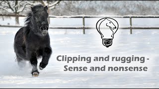 Clipping and rugging Sense and nonsense [upl. by Tamar]