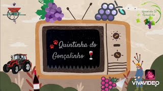 Intro principal 🐾 Quintinha do Gonçalinho 🍷 com tema sonoro atualizado [upl. by Engen106]