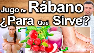 JUGO DE RÁBANO EN AYUNAS  ¿Para Qué Sirve El Rábano  Beneficios Para Tu Salud Y Belleza [upl. by Freud810]