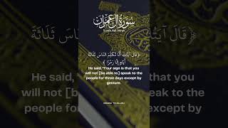 Surah Aali Imran 41  Nasser al Qatami quranquranrecitationناصرالقطامي سورةالعمران [upl. by Havens]