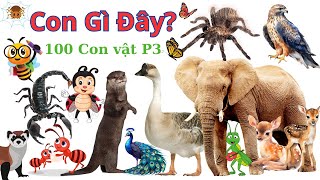 🐇🐁🐘 Bé Khám Phá 100 Con Vật Thường Gặp P3  Con Gì Đây 🐢🐞🦋🐝🐜🕷️🦂🦅🦉 [upl. by Ahilam]