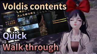 Lost Ark All Voldis contents quick walk through [upl. by Hatcher666]