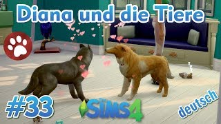 Sims 4  Diana und die Tiere 33  Welpen verkauft und wieder trächtig [upl. by Alekehs]