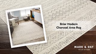 Briar Modern Charcoal Area Rug [upl. by Allemat28]