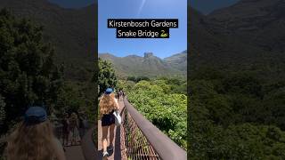 Kirstenbosch Gardens snake bridge 🐍 capetown botanicalgarden protea thingstodoincapetown hike [upl. by Aili]