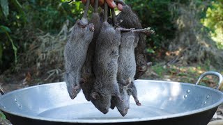 Fried Rat in simple recipe with mango sauce in my village ratcooking friedrat [upl. by Izzy138]