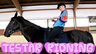 TONE TESTAR Ridning Skritt trav amp GALOPP [upl. by Avrom]