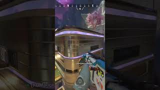 The Powerful P2020 apexshorts apexlegends apex apexlegendsclips gaming [upl. by Budworth950]