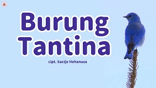 Burung Tantina Sio Tantina [upl. by White219]