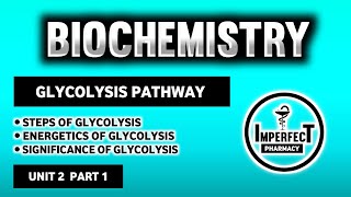 Glycolysis Pathway  Energetics And Significance Of Glycolysis  Carbohydrates Metabolism  Biochem [upl. by Schulman198]