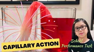 Capillary Action Explained In simple words  Easy Science Experiment  Performance Task [upl. by Norehs]