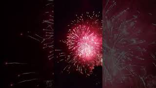 Firework PERFECT 2024 31 in 4K shorts viral fireworks [upl. by Mullac]