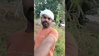 Kheti kisani gehun bor shayari attitude brokenheart blackscreenstatus vairalshort comedy [upl. by Dorelia]