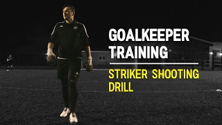 Goalkeeper Training  Striker shooting drill [upl. by Ynneg]