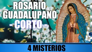 SANTO ROSARIO CORTO 🌷 4 MISTERIOS 🙏 ROSARIO GUADALUPANO ❤ VIRGEN PIADOSA 🙏 [upl. by Nnylyrehc]