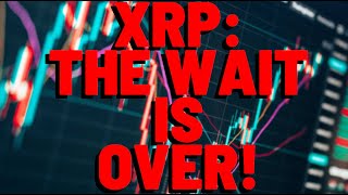 XRP VOLUME EXPLODES THEYRE ALL ADDING XRP [upl. by Bethanne]