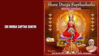 Shree Durga SapthaShathi I Chandika Parayana I Veda Moorthy Sri Nagendradatta SSharma [upl. by Alludba]