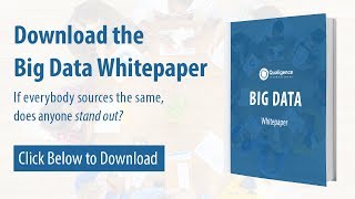 Download the Big Data Whitepaper [upl. by Balcer]